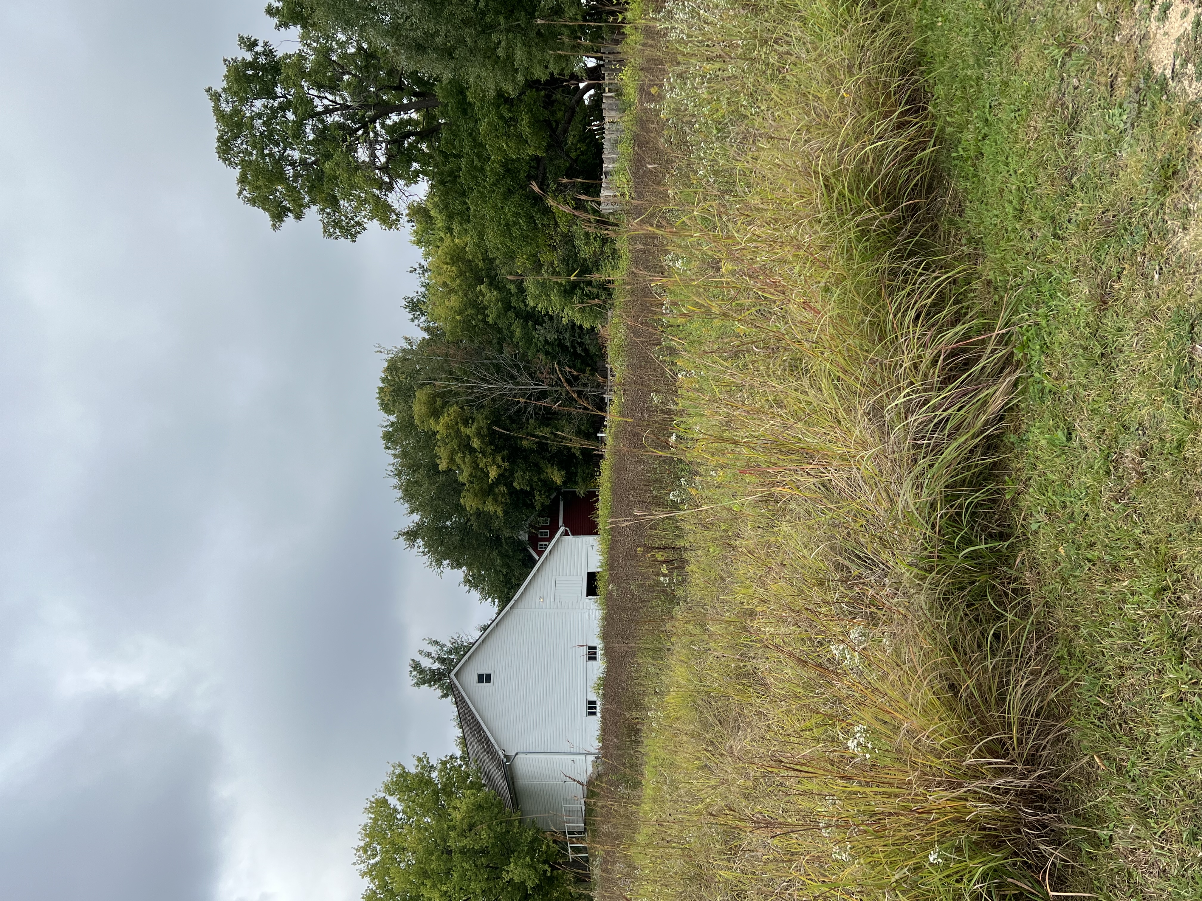 Select to view larger image