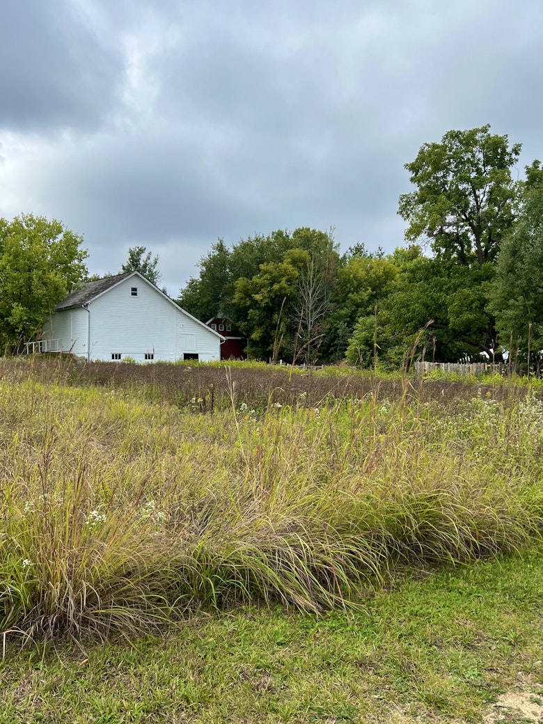 Gibbs Farm