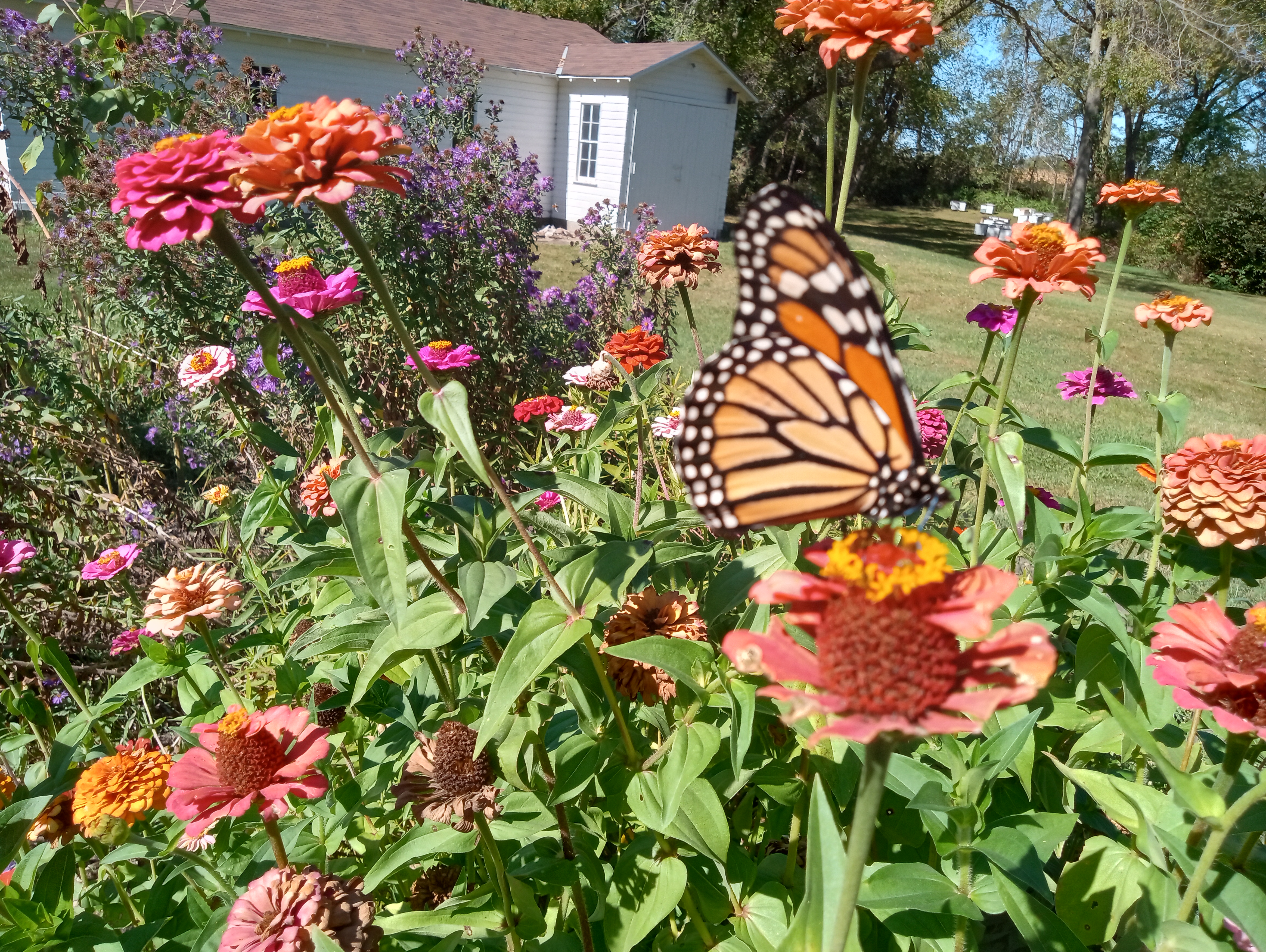 Select to view larger image