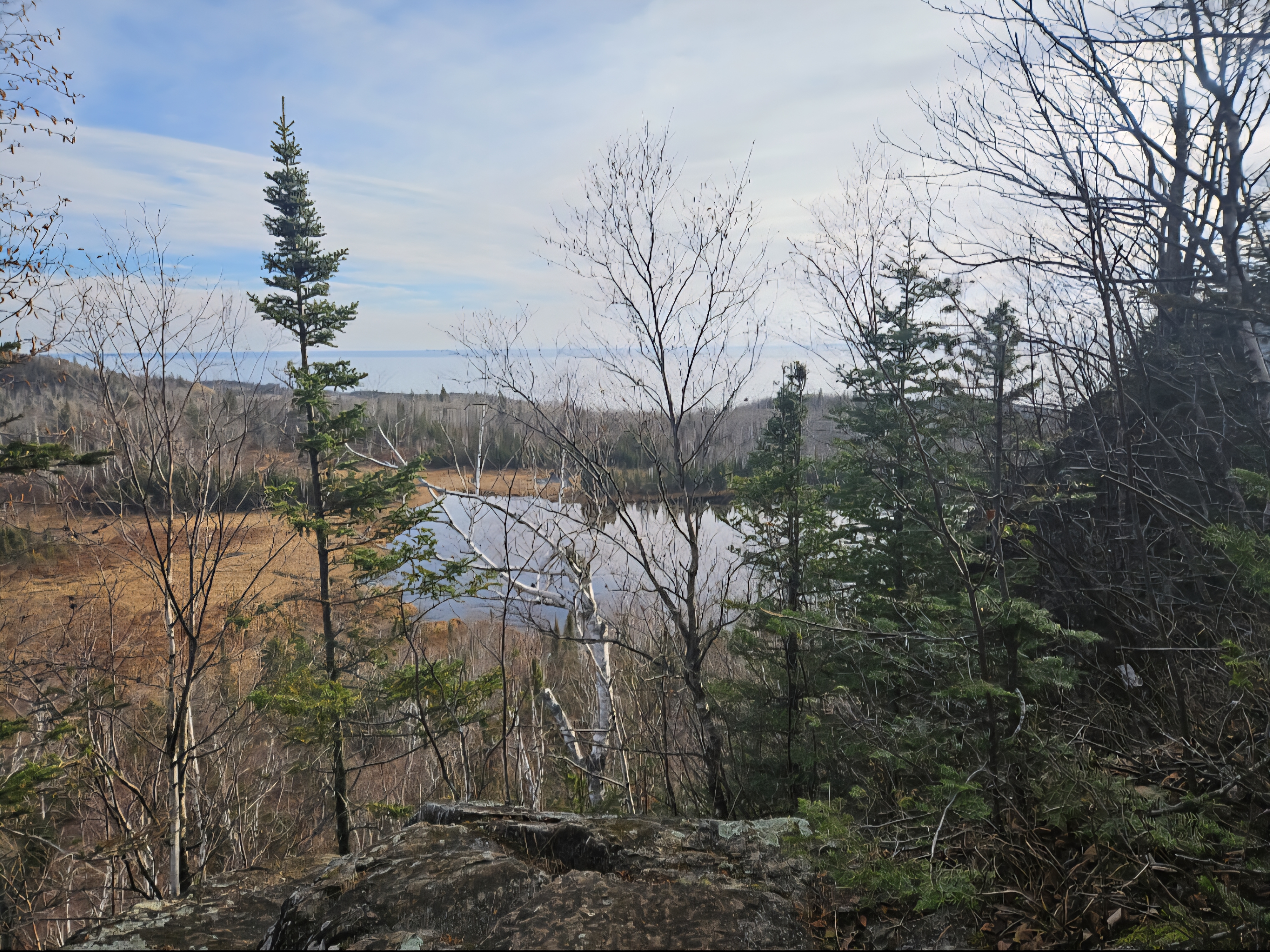 Select to view larger image