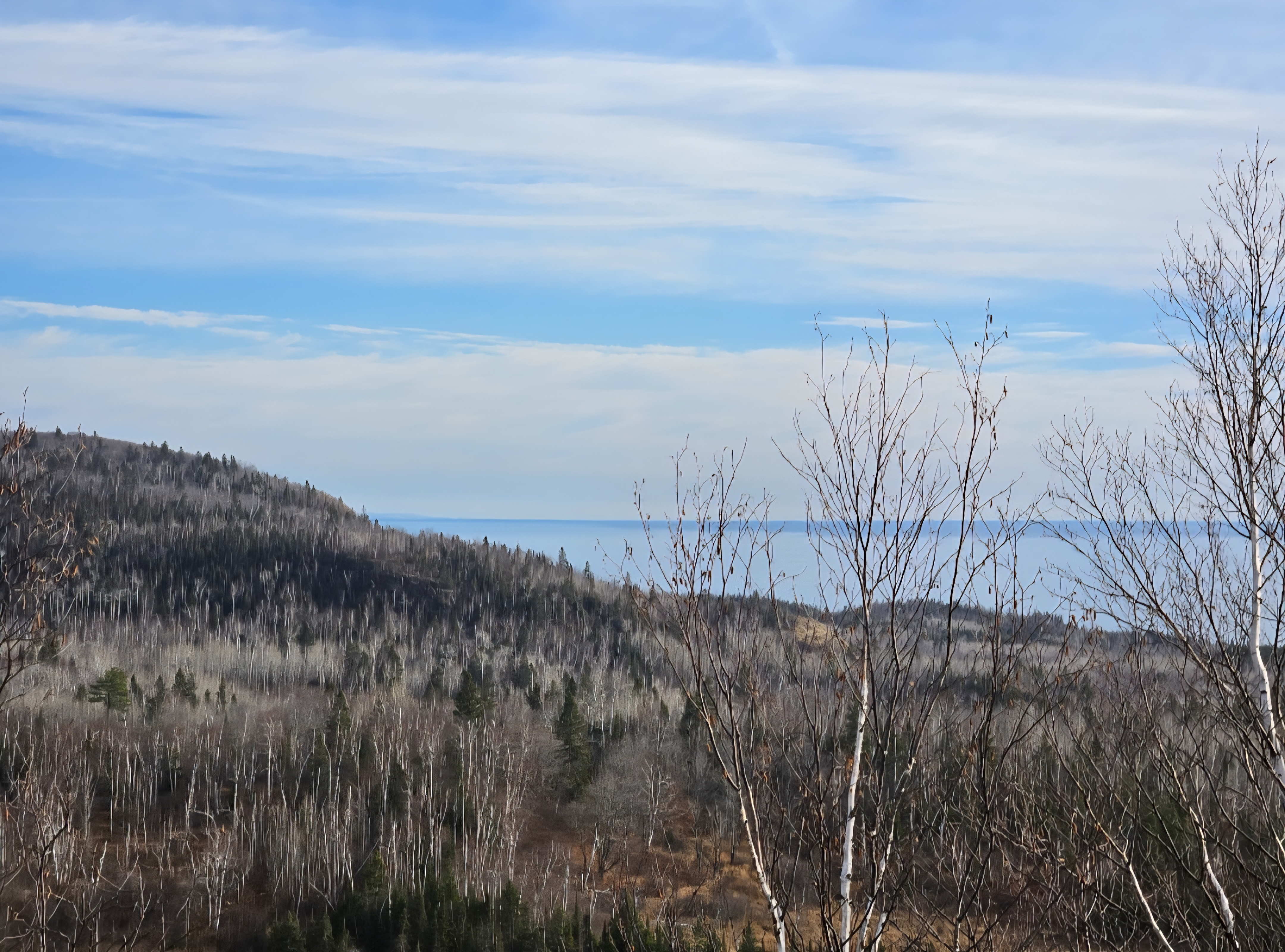 Select to view larger image