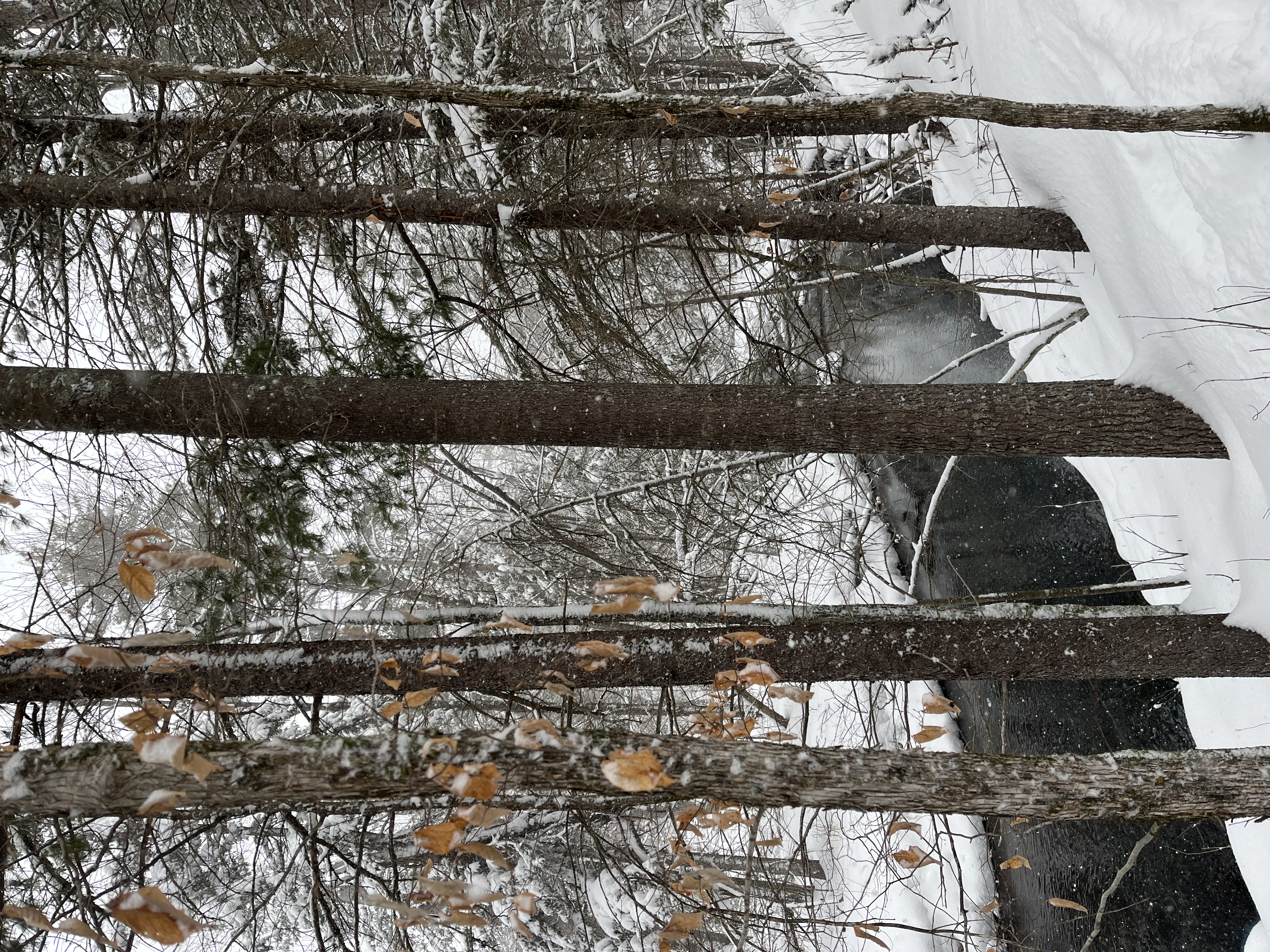 Select to view larger image