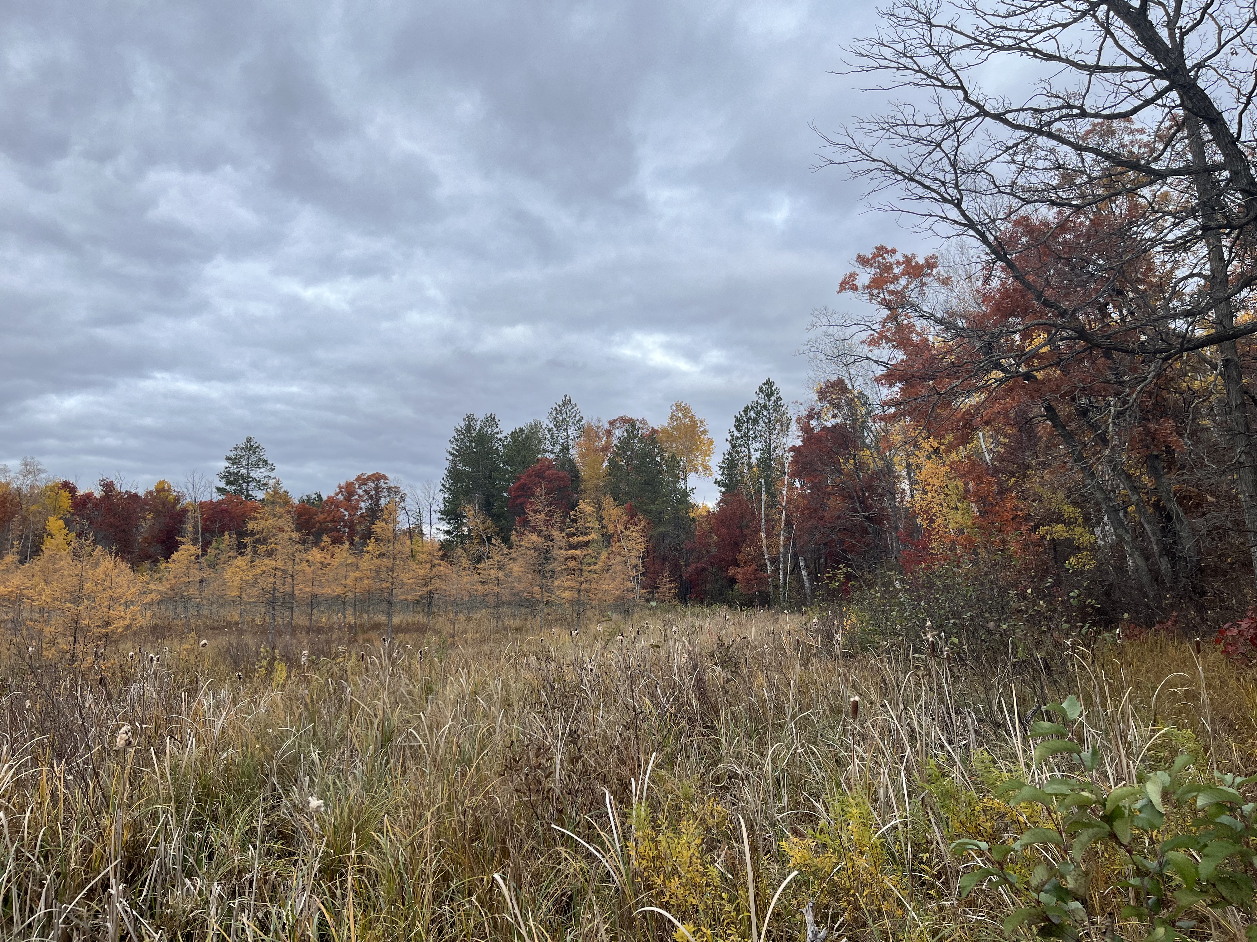 Select to view larger image