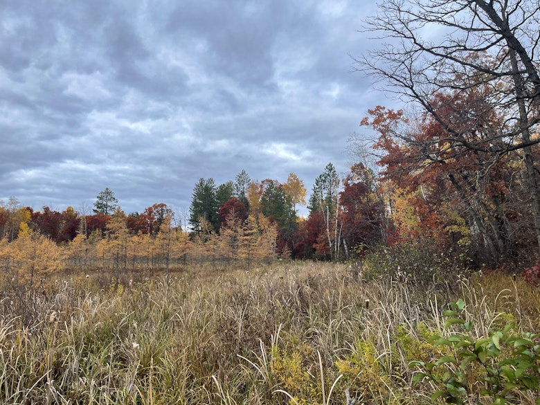 Fritz Loven Park