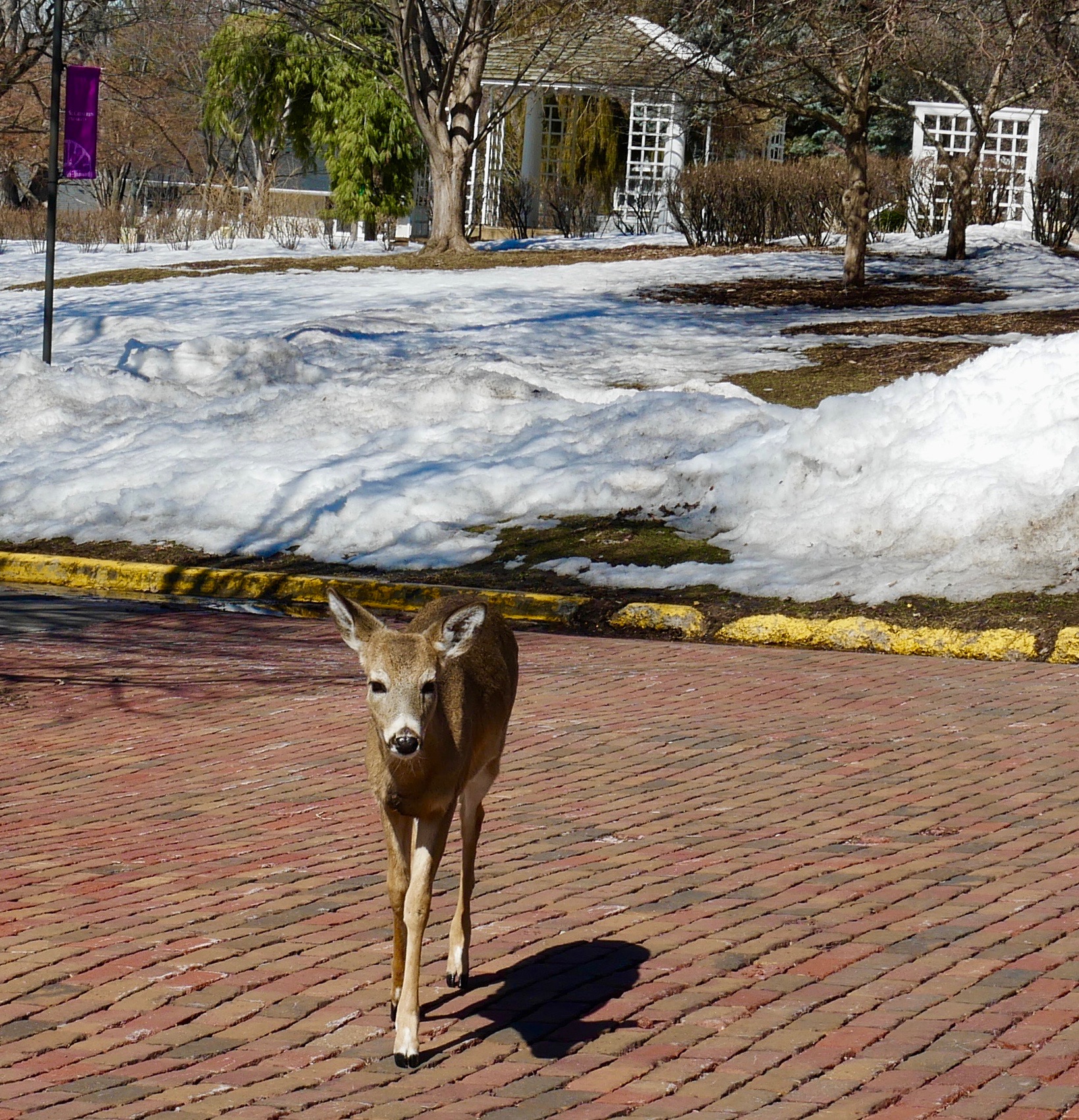 Select to view larger image