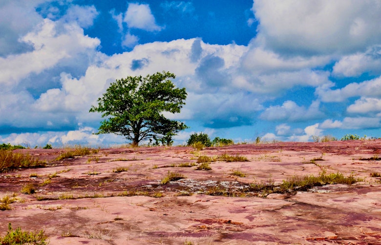 Jeffers Petroglyphs