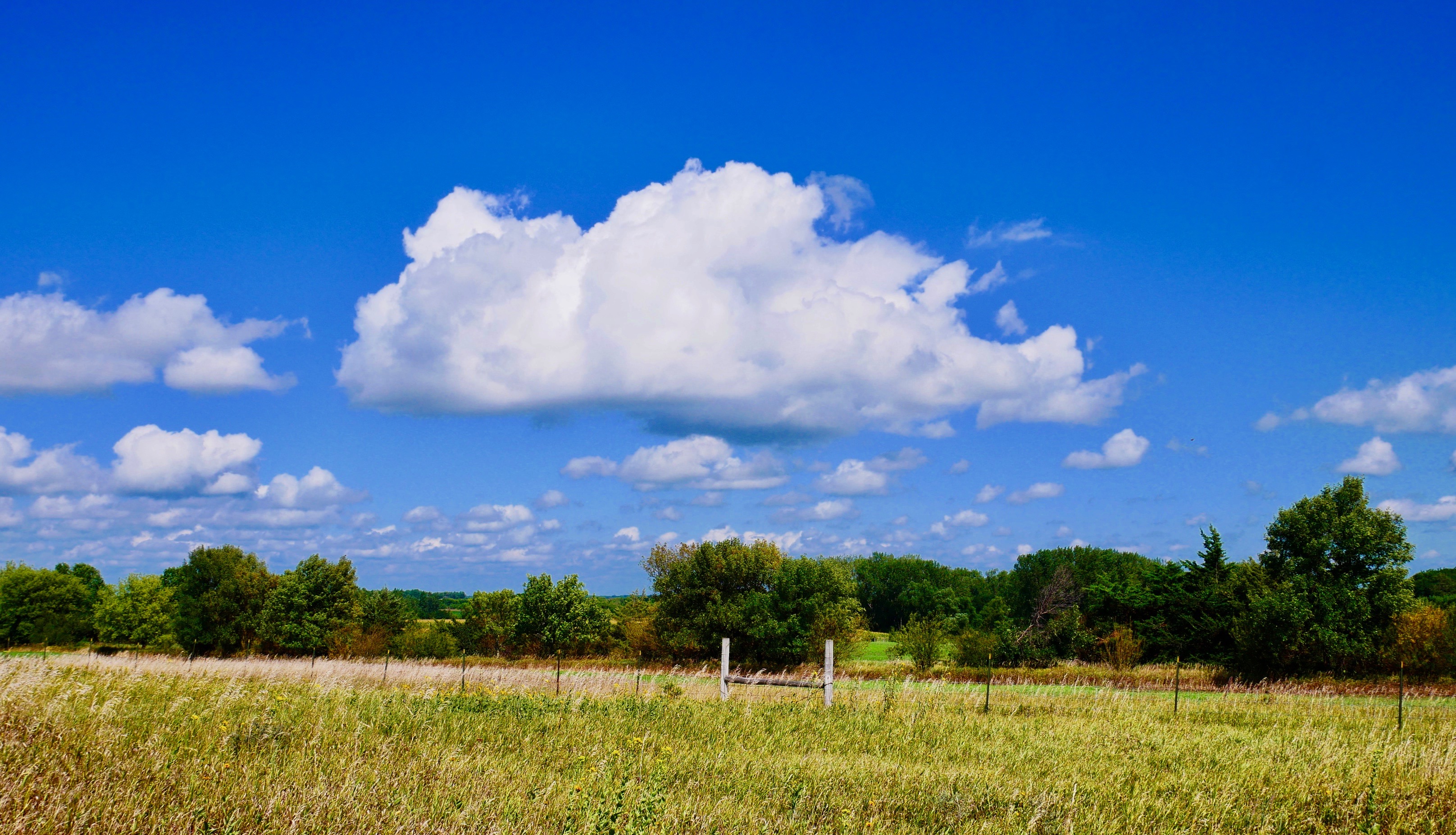 Select to view larger image