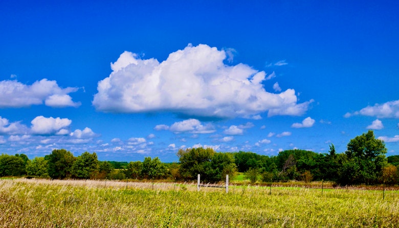 Jeffers Petroglyphs North Star Story Map