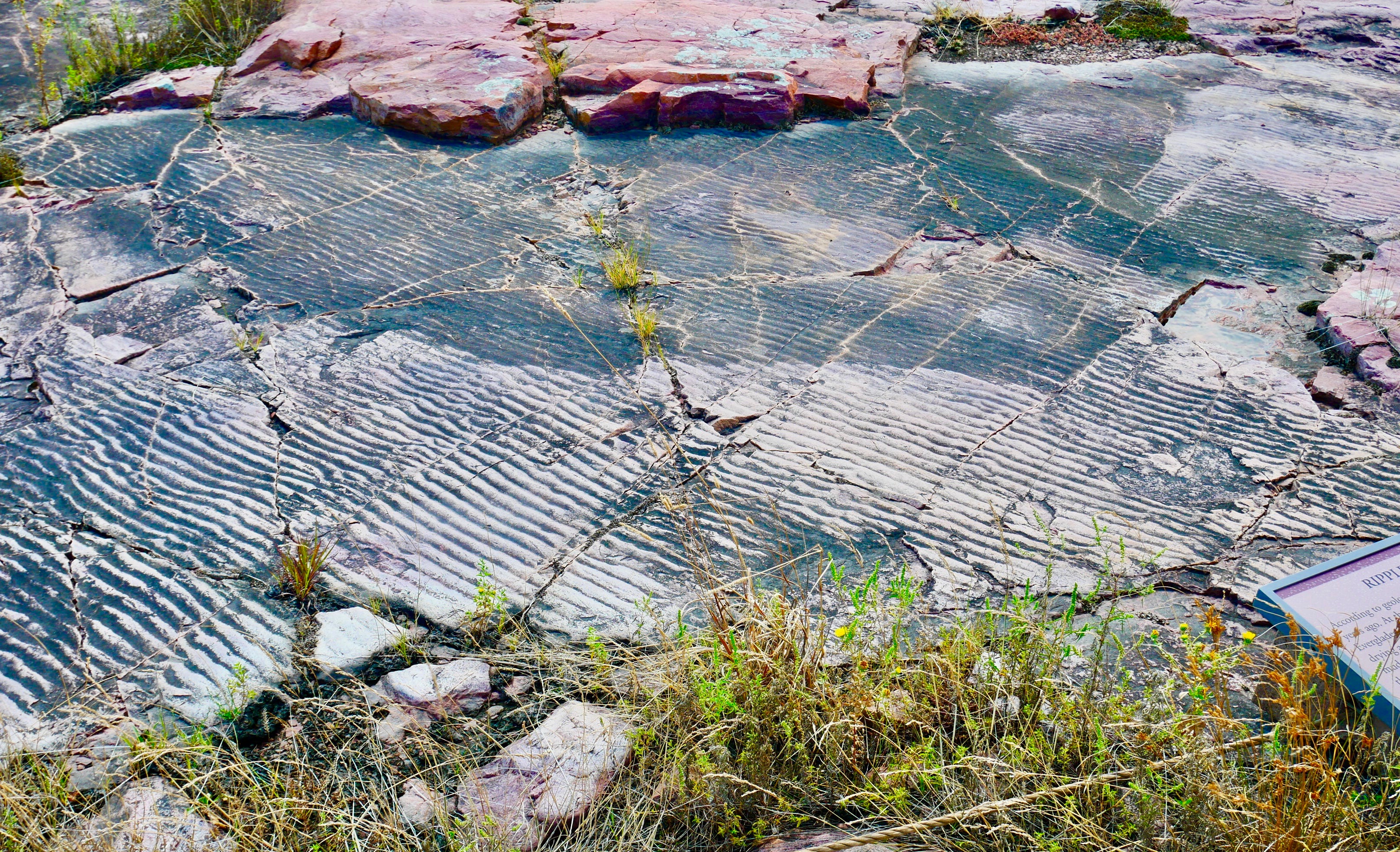 Select to view larger image