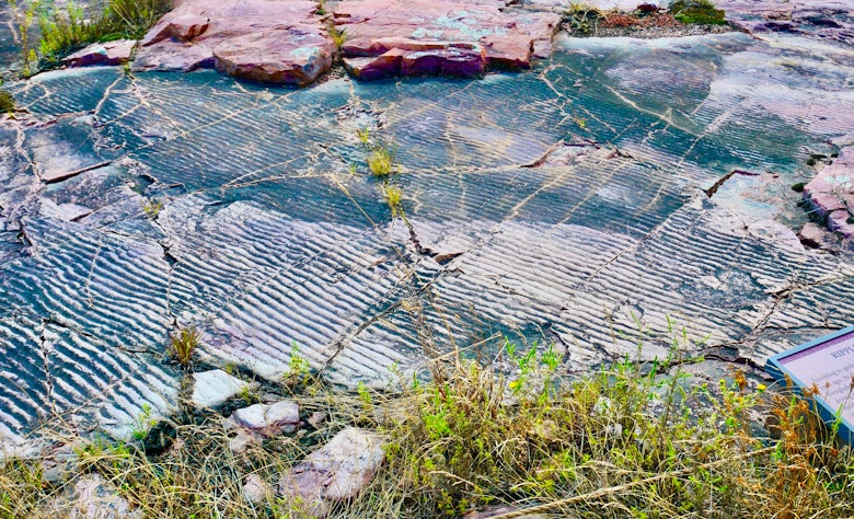 Jeffers Petroglyphs