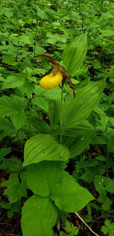 Select to view larger image